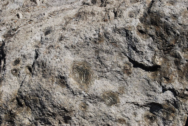 Bí ẩn những tảng đá biết sinh con ở Bồ Đào Nha